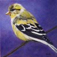 Goldfinch