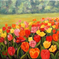 Just Tulips