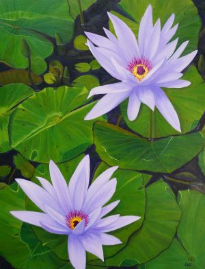 Lily Pads-Large