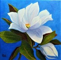 Magnolia