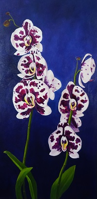 Orchids