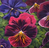 Pansies