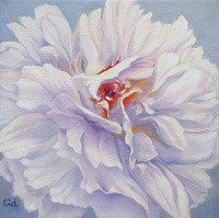 Peony2