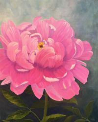 Pink Splendor