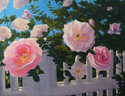 Provincetown Roses