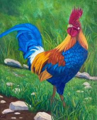 Rooster
