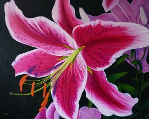 Stargazer Lily