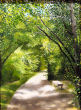 Turner's Pond, Milton, MA